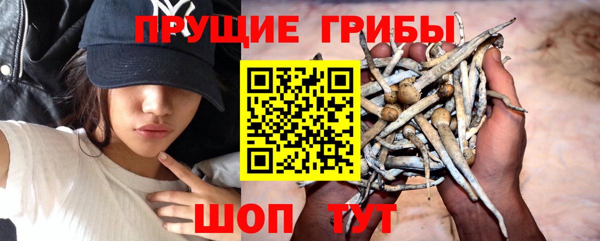 Псилоцибиновые грибы ЛСД  Вход с VPN  Советский 